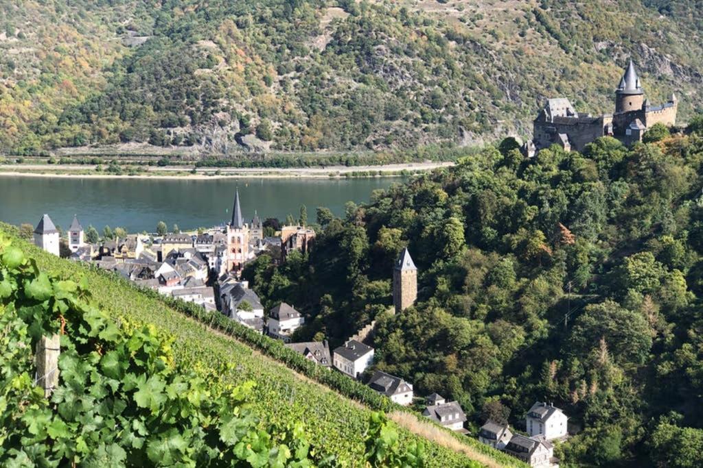 Schoene Ferienwohnung Burgruine Fachwerkhaus バッハラッハ エクステリア 写真